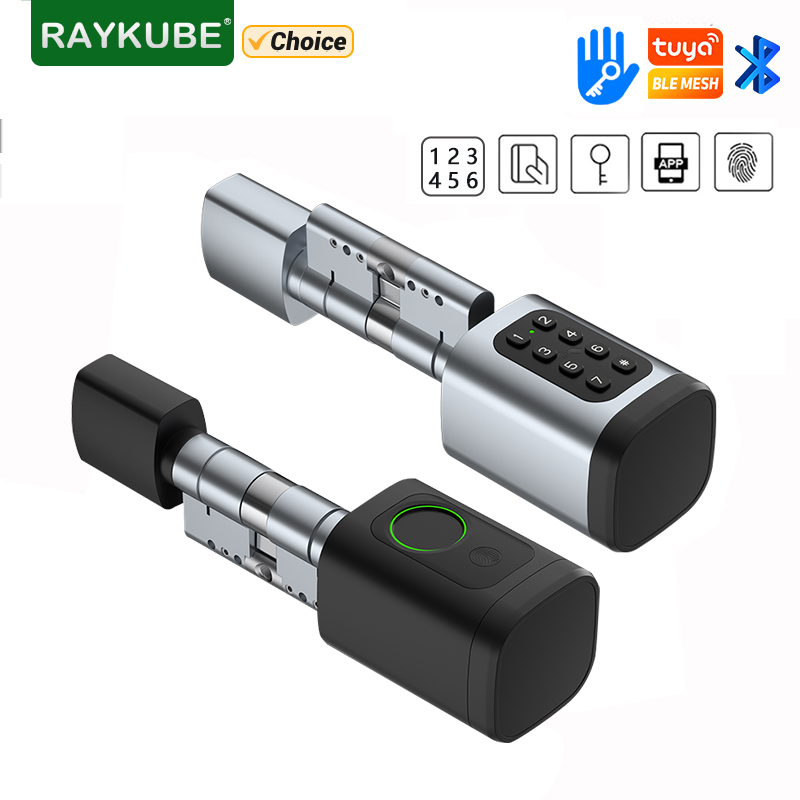 RAYKUBE V1 Tuya BLE TT Schloss – Diy Waterproof Electronics Bewertung und Preis